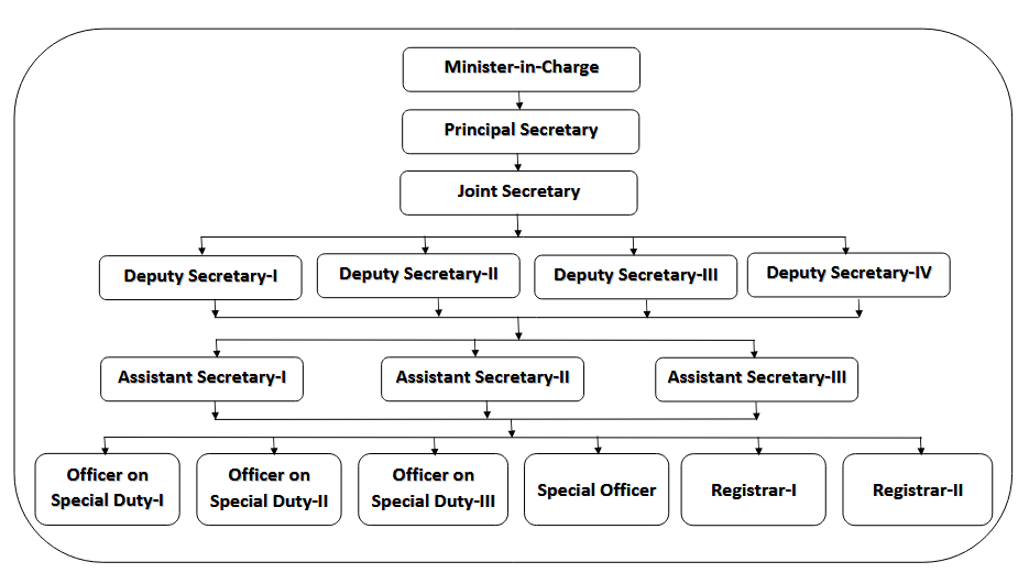 Organisation Structure PEIR